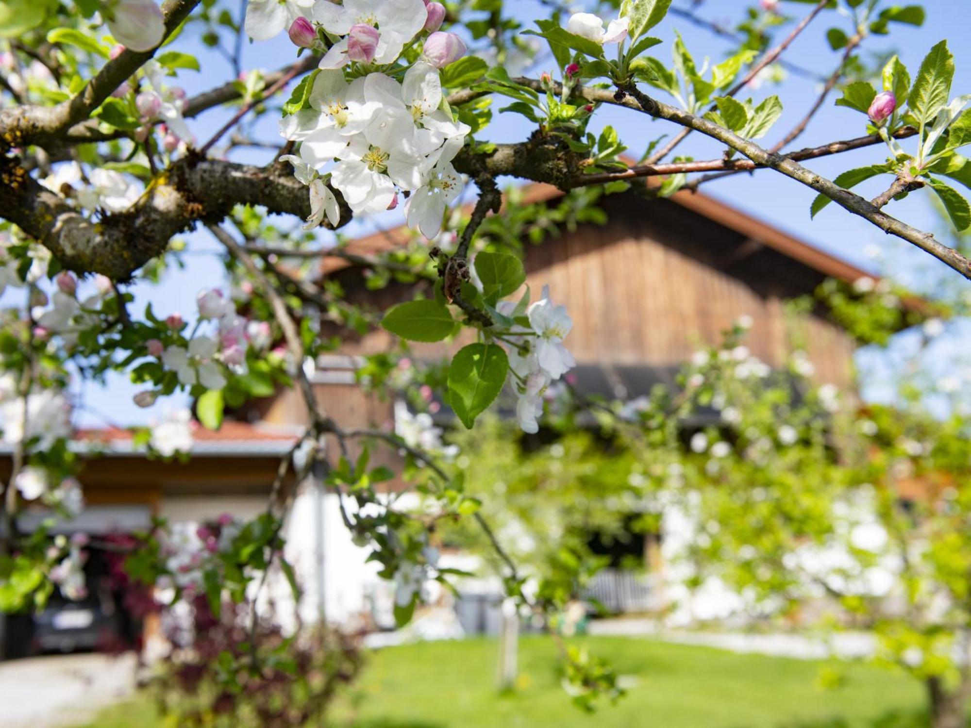 Auszeit Am Bauernhof Apartment Schwoich Exterior photo